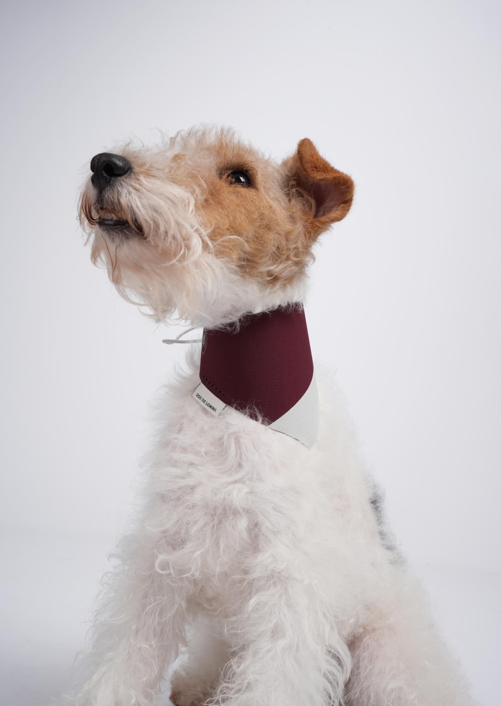 OrbitQuest Tech Sport Dog Bandana
